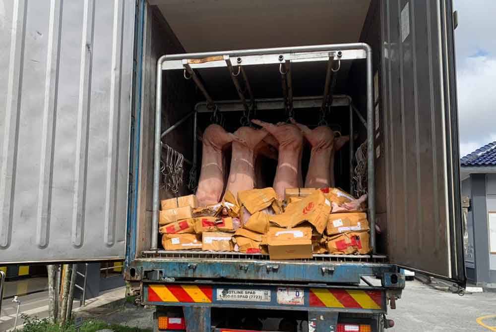 Daging babi yang dirampas Kastam Kelantan pada Khamis.
