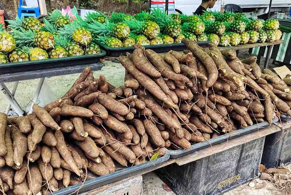 Ubi kayu laris mendapat permintaan tinggi pelanggan terutama pada musim tengkujuh.