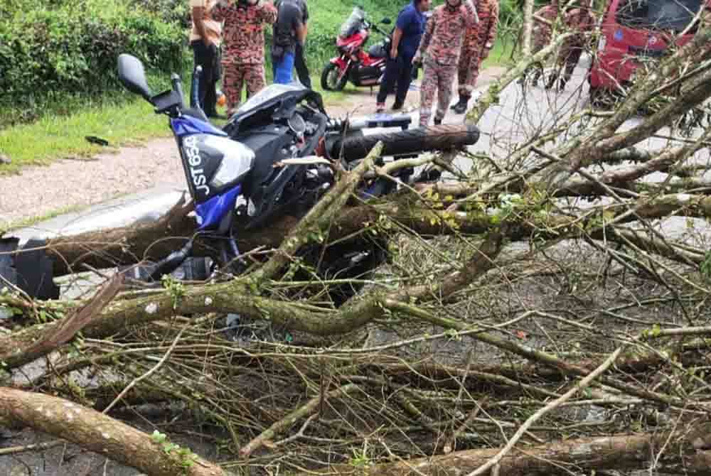 Keadaan motosikal mangsa yang ditimpa pokok.