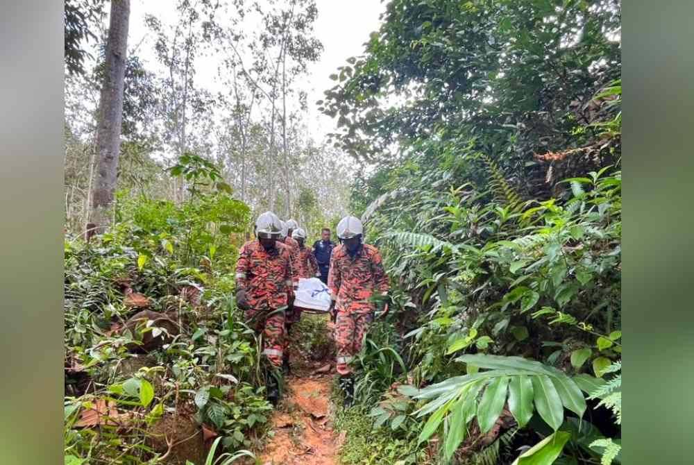
Bomba menggunakan pengusung untuk membawa keluar mangsa dari tempat kejadian dengan jarak dua kilometer. Foto ihsan JBPM