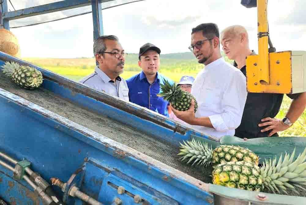Sheikh Umar (dua dari kanan) melihat nanas segar MD2 untuk dieksport.