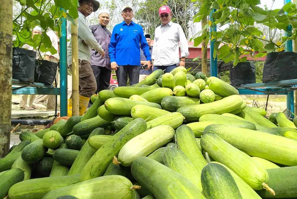 Mohd Fahmi (dua dari kiri) bersama Meor Roslan (dua dari kanan) dan Nordin (kanan) melihat hasil tanaman timun yang diusahakan oleh Maahad Tahfiz dan Kemukjizatan Al-Quran, Ayer Jernih, di sini.