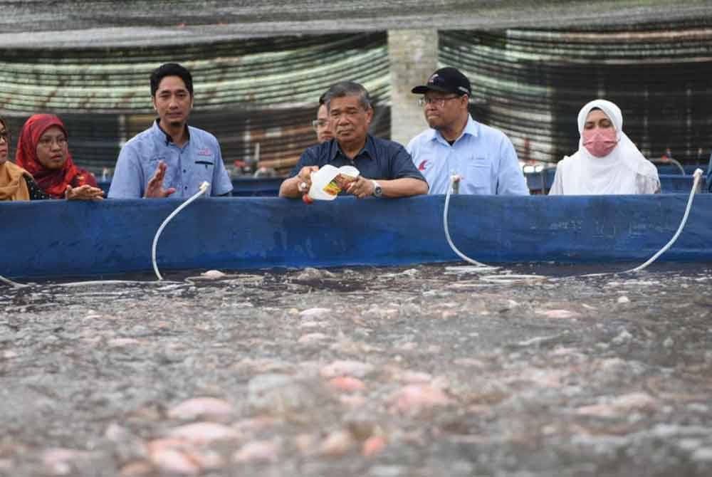 Mohamad (tengah) meninjau operasi kolam ikan diusahakan ARC Berkat Agrafood.Foto: Mohd Rafiq Redzuan Hamzah.
