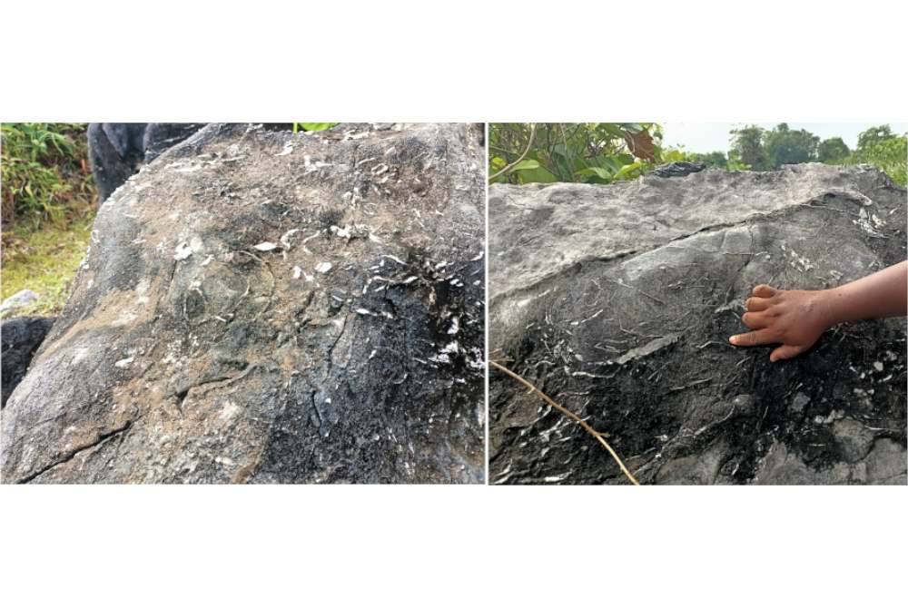 Kewujudan fosil itu mula disedari penduduk sejak tahun lalu sebelum memaklumkan kepada GEONAT bagi tujuan kenal pasti dan kajian lebih mendalam.