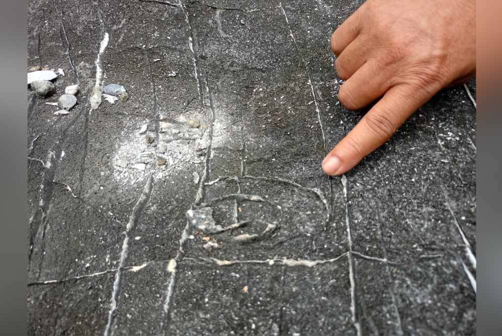 Fosil karang purba dianggarkan berusia 300 juta tahun yang ditemui di Kampung Changkat Tualang.