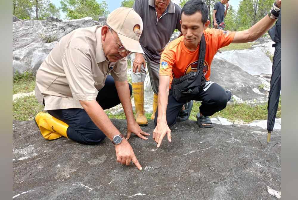 Nizarulikram (kiri) menunjukkan fosil karang purba dianggarkan berusia 300 juta tahun yang ditemui di Kampung Changkat Tualang di Kampar.