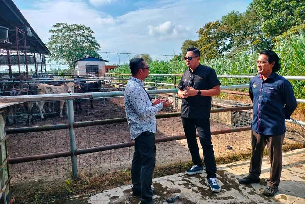 Dr Muhamad Akmal (tengah) ketika meninjau lima ekor yang dilelong di kandang lembu milik Pejabat Pembangunan Pertanian Melaka di Semujuk, Merlimau di sini, pada Khamis.