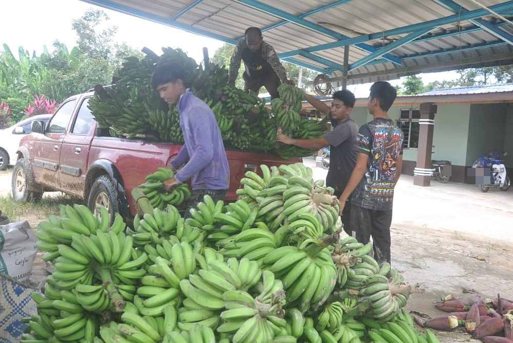 Syukri membuktikan semangat dan keazaman yang tinggi mampu membuahkan hasil di mana dia kini mampu mengupah seramai lima orang pekerja.
