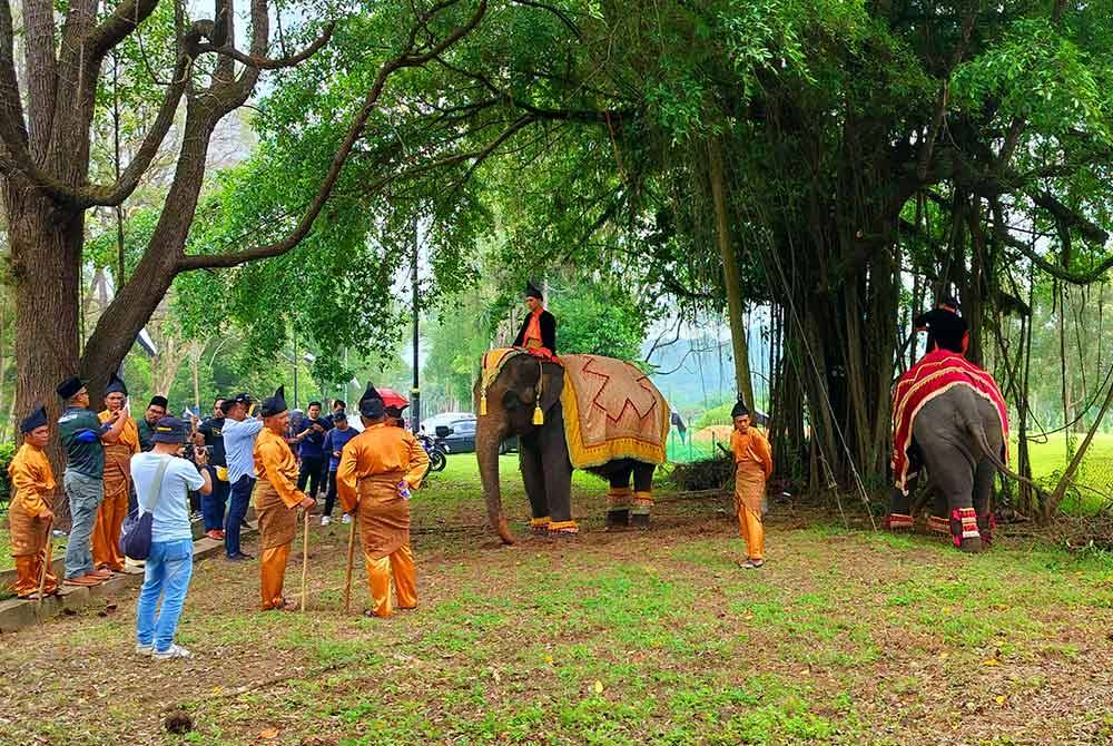 Kehadiran Alam dan Sanum bukan sahaja memeriahkan malah mendapat perhatian orang ramai yang hadir menunggu untuk sambutan keberangkatan pulang Yang di-Pertuan Agong ke Pahang pada Selasa.