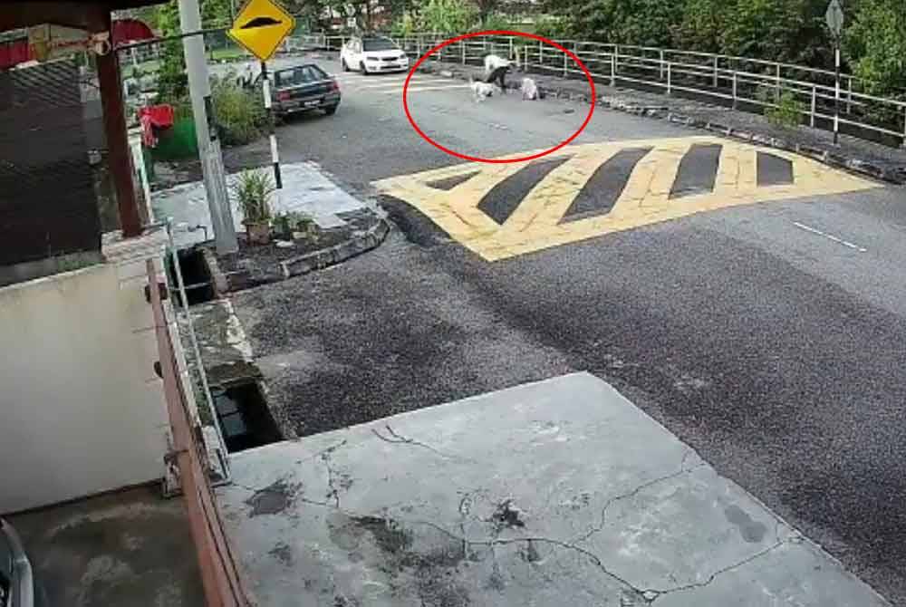 Rakaman CCTV memaparkan kejadian dua murid perempuan dikejar seekor anjing ketika sedang berjalan kaki ke sekolah, pada Selasa.