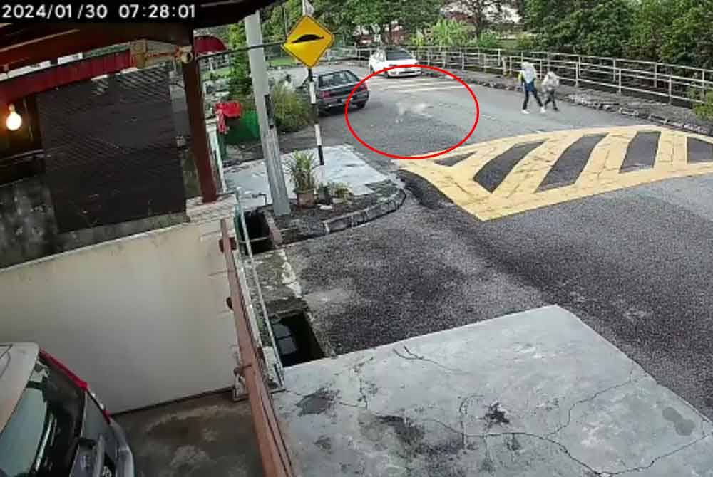 Rakaman CCTV memaparkan kejadian dua murid perempuan dikejar seekor anjing ketika sedang berjalan kaki ke sekolah, pada Selasa.