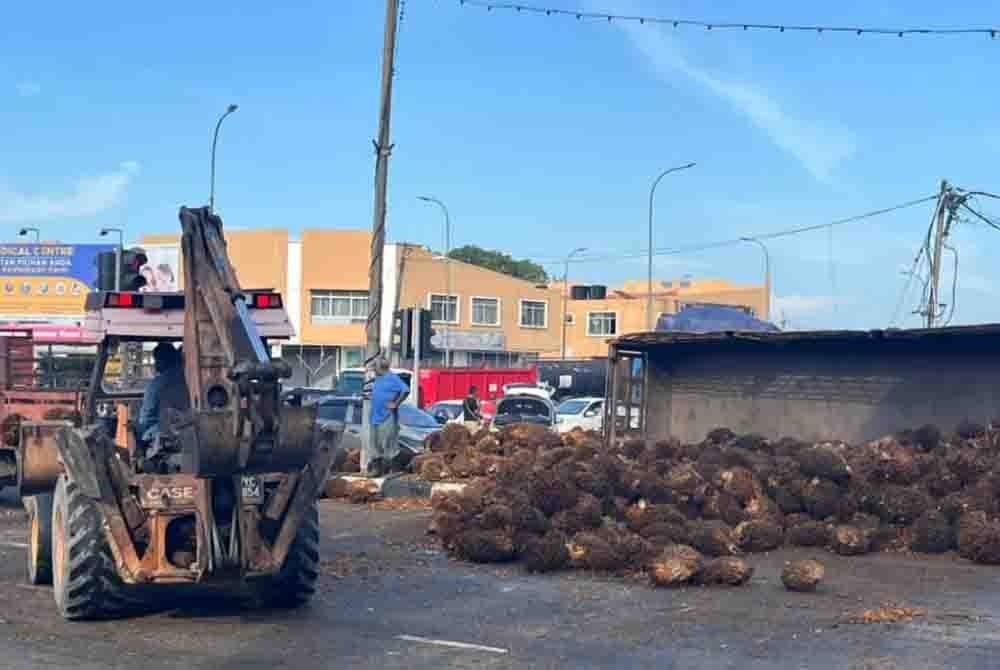 Muatan sawit mengenai tiga kenderaan yang berhenti di lampu isyarat merah.