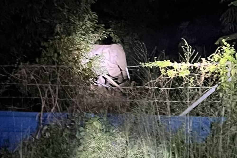 Seekor gajah menceroboh kawasan dusun milik penduduk kampung.