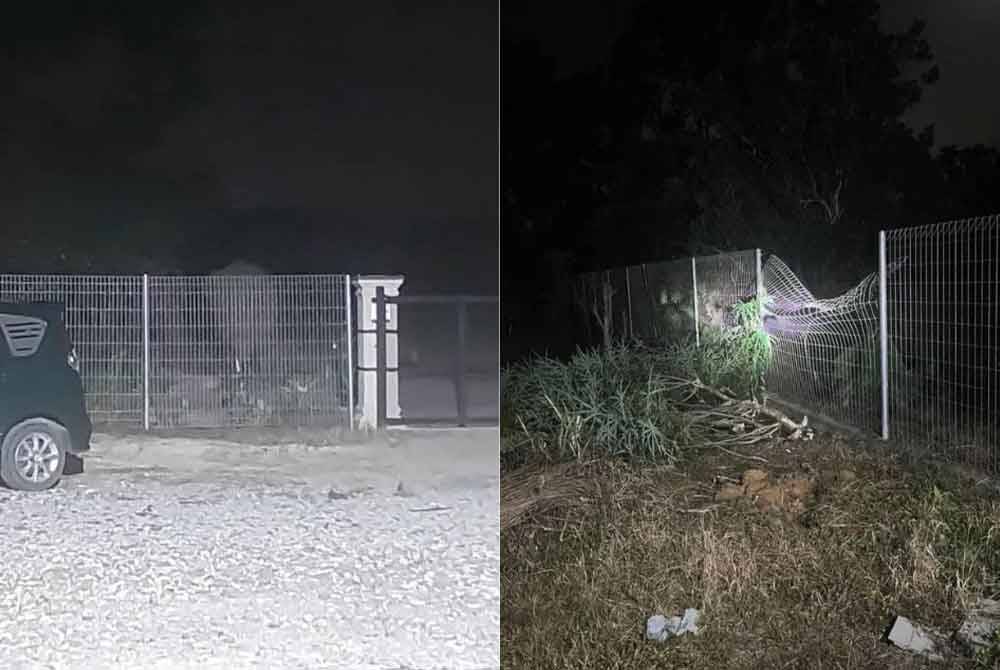 Pagar rumah yang rosak dipercayai angkara gajah.