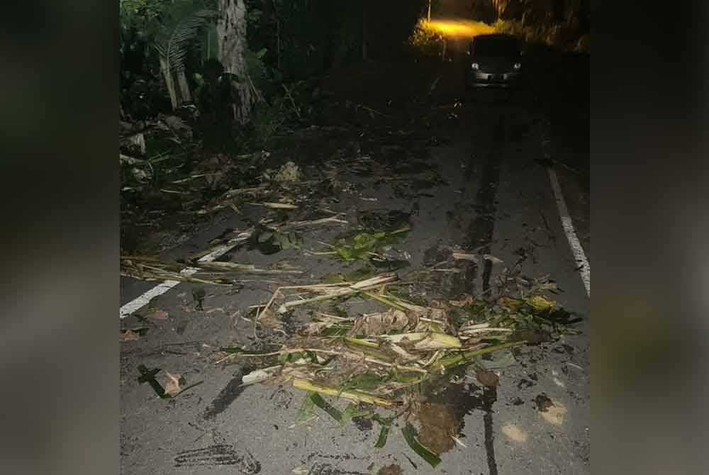 Antara sisa makanan yang ditinggalkan oleh gajah di kawasan berkenaan.