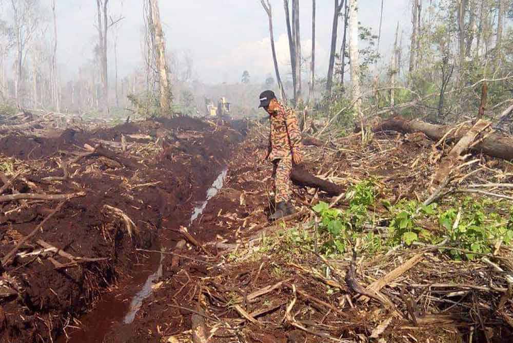 Hutan simpan di Kuala Langat antara lokasi hotspot kebakaran tanah gambut berskala besar.