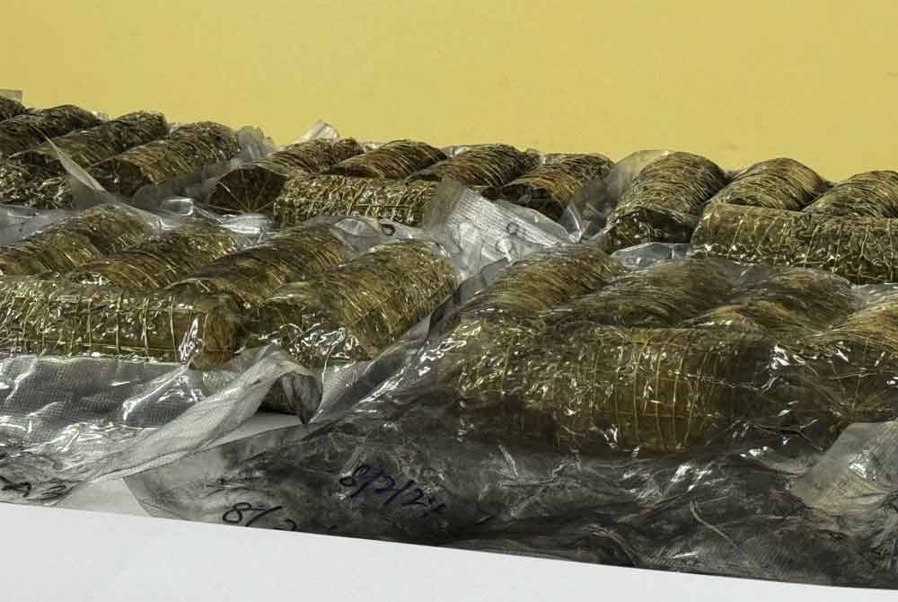 Dadah jenis ganja seberat 15.28kg dirampas polis pada Khamis.