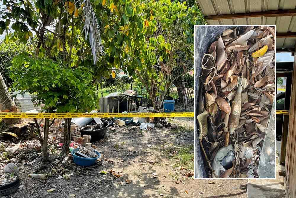 Bom mortar berukuran 60mm ditemui di belakang rumah di Kampung Tersusun Serkam Darat, Merlimau di sini, pada Sabtu. Gambar kecil: Objek dipercayai bom mortar yang ditemui seorang tukang kebun.