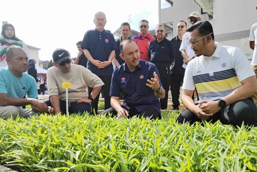 Mohd Jafni (duduk, dua kanan), ketika melawat tapak tanam-tanaman di kawasan berkenaan.