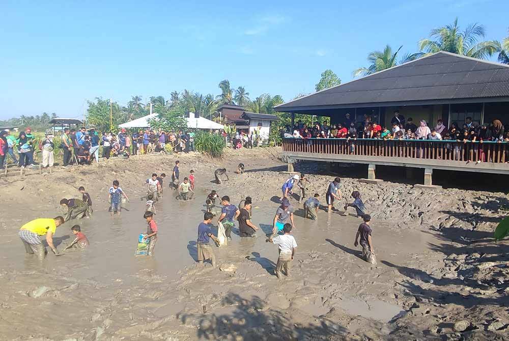 Sebahagian peserta yang menyertai aktiviti gagau ikan dalam kolam berselut.