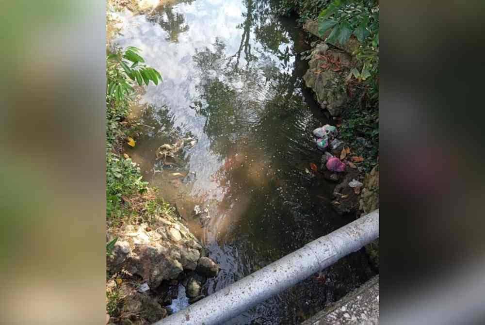 Setakat ini, pihak JAS Pulau Pinang telah mengambil sampel di lima lokasi. Foto JAS Kedah