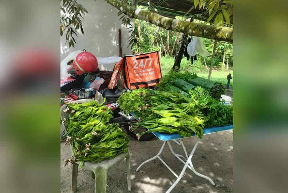 Hasil kampung seperti ulam-ulaman dan petai sering dibawa Siti Norol Salwani untuk dijual di Cheras, Kuala Lumpur. Foto ihsan Siti Norol Salwani