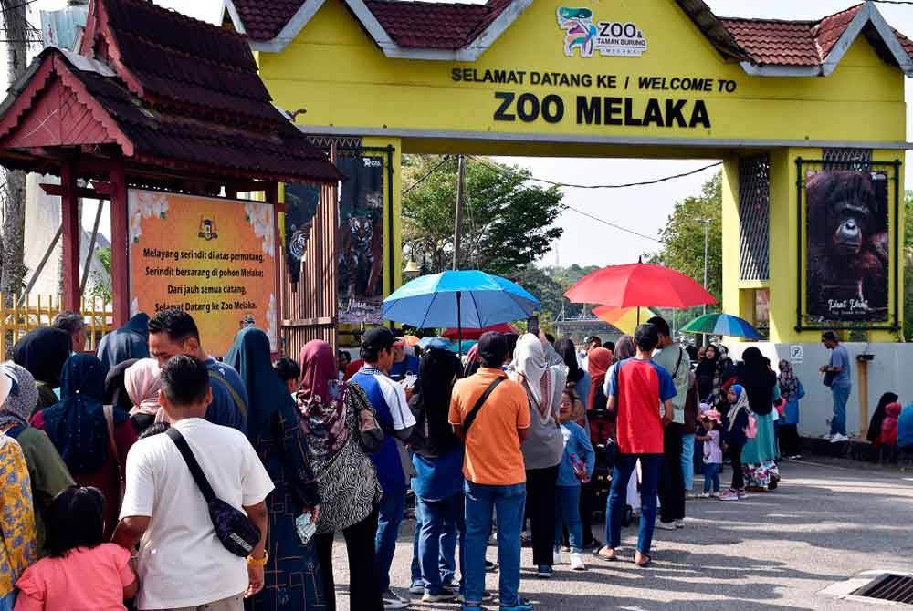 Pengunjung dari dalam dan luar Melaka beratur panjang untuk masuk percuma ke Zoo Melaka sempena cuti umum negeri bagi memperingati Peristiwa Pengisytiharan Tarikh Kemerdekaan Persekutuan Tanah Melayu hari ini. - Foto: Bernama