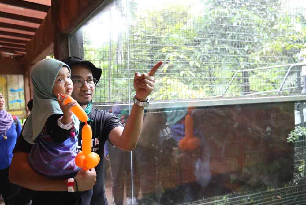 Penghuni Rumah Amal Al-Firdaus dibawa melawat taman hidupan liar di taman tema Sunway Lagoon.