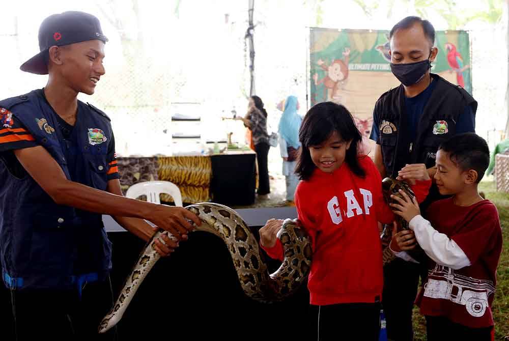 KKelihatan pengunjung, Maisara Ashaari, 10, bersama adik Khaled Wafi Farizul, 7, (kanan) berkesempatan bermain ular sawa di reruai pameran Agro Veterinar. Foto Bernama