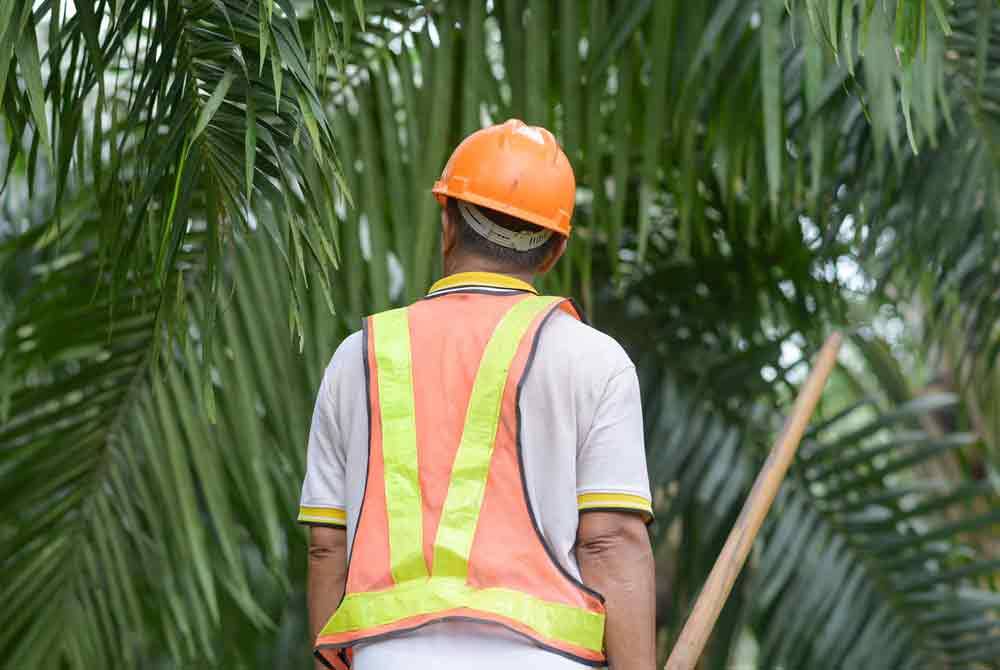 Langkah kerajaan memperluas dasar satu peratus peluang pekerjaan kepada golongan warga emas dan bekas banduan membantu menambah baik tahap ekonomi golongan berkenaan.(Gambar hiasan) Foto 123rf