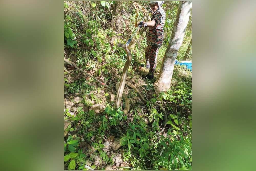 Anggota tiba di lokasi selepas mendapat panggilan kecemasan pada jam 9.35 pagi pada Khamis. Foto ihsan bomba