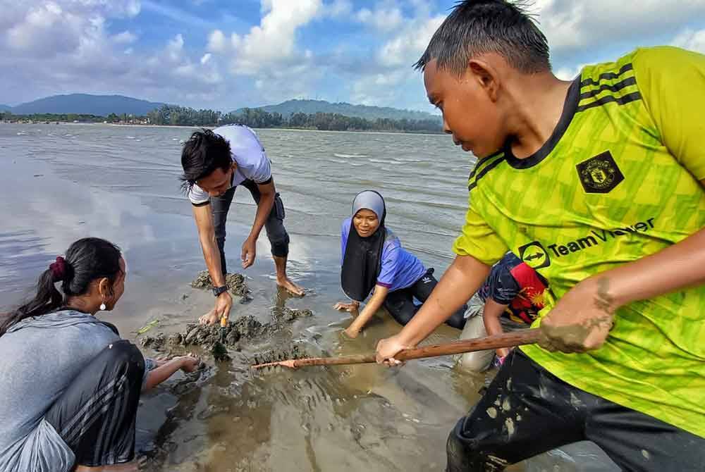 Rayyan Hakimi sedang mencakar tanah bersama sepupunya untuk mencari kepah di Pantai Tanjung Lumpur pada Khamis.