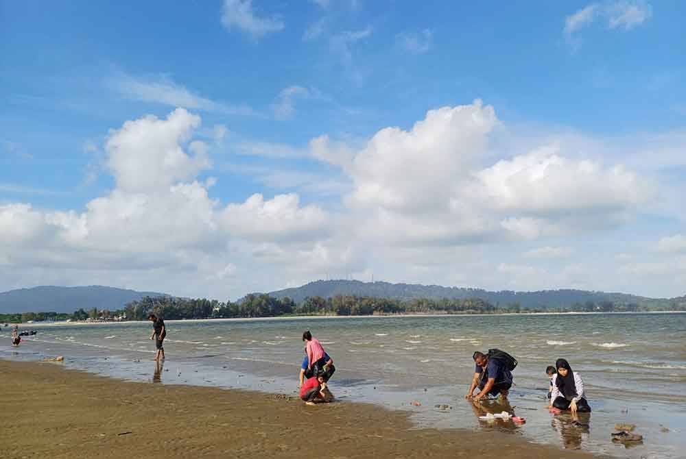 Sebuah keluarga turut menggali di pesisir pantai Tanjung Lumpur untuk mencari kepah.