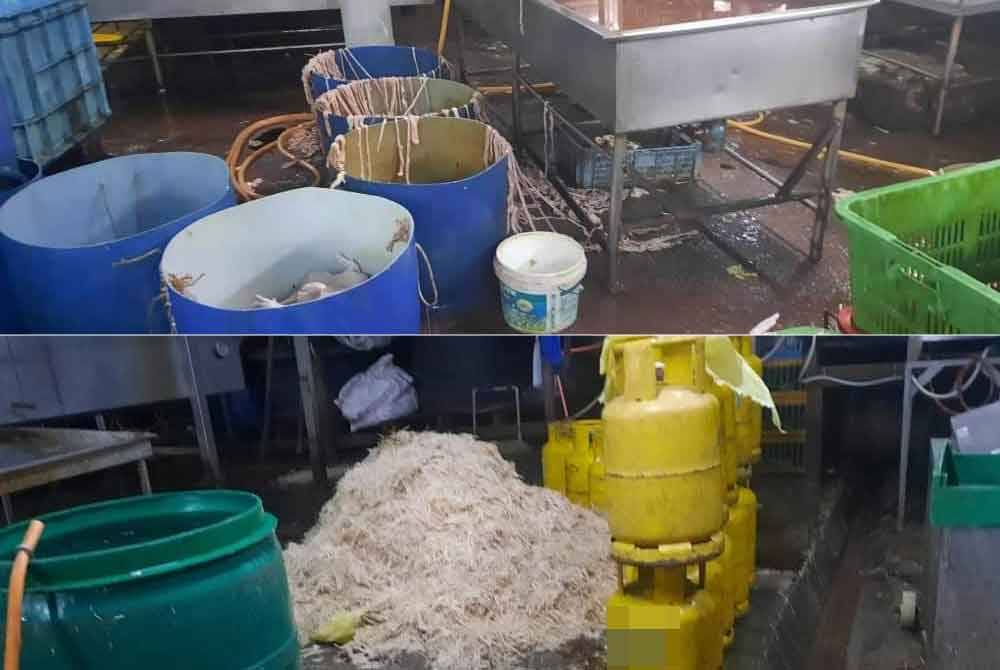 Longgokan kotoran ayam yang dibiarkan bertaburan di lantai.