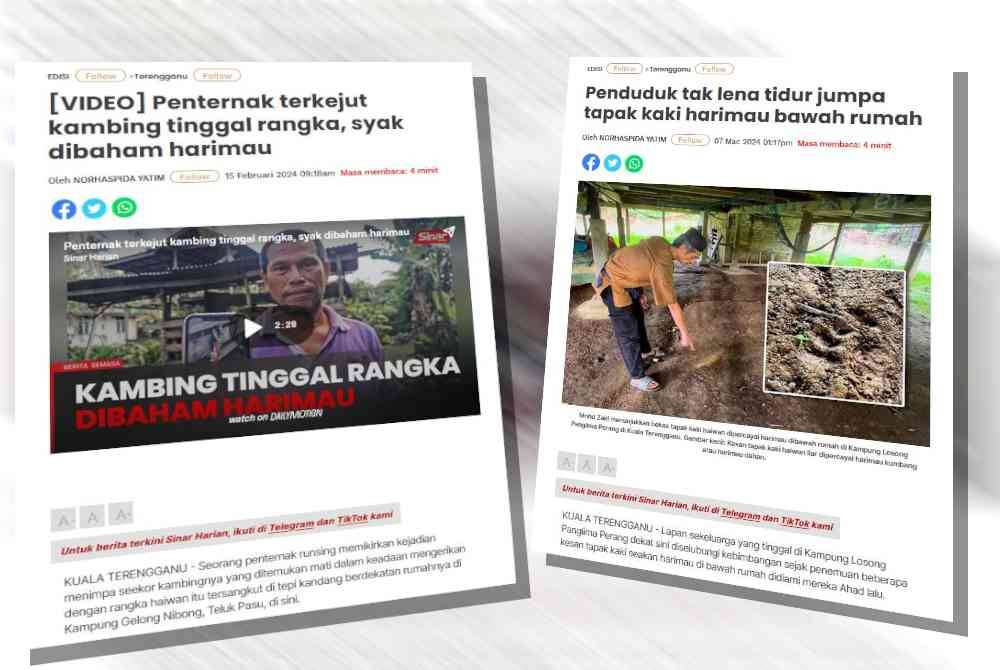 Laporan Sinar Harian mengenai kebimbangan penduduk berhubung dakwaan kehadiran harimau di kawasan mereka.