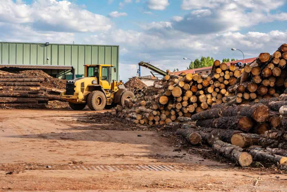 Pemandu lori maut digilis jentera berat selepas terjatuh akibat tergelincir ketika sedang mengikat kayu balak dalam kejadian di Kilometer (KM) 26 Jalan Jerantut-Padang Piol dekat kawasan matau balak pada Jumaat. Gambar hiasan 123RF