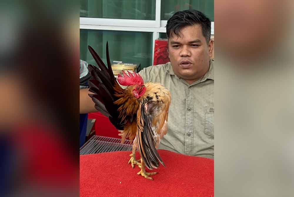 Mohd Hilmi melihat Yellow MG yang mendada.