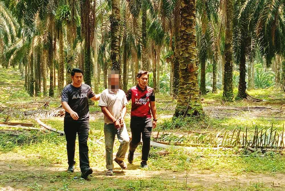 Seorang lelaki diberkas kerana dipercayai menagih dadah dalam Ops Hot Spot di sebuah ladang kelapa sawit di Pasir Gudang pada Ahad.