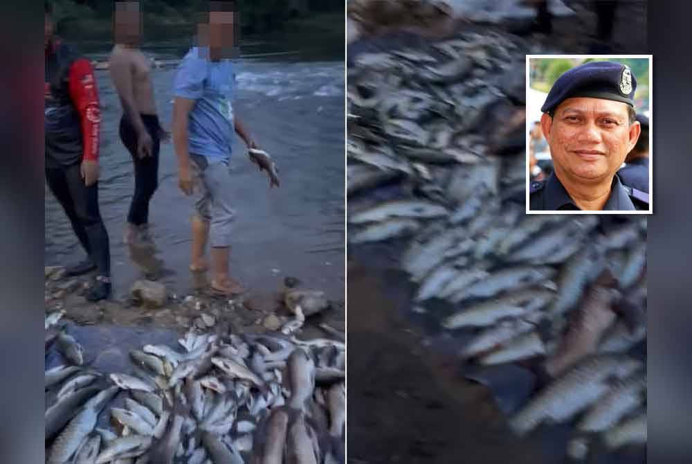 Tangkap layar video tular di media sosial mengenai aktiviti menangkap ikan yang dikatakan mencurigakan. Gambar kecil: Zulkifli