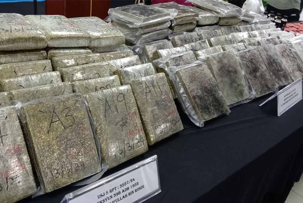 Antara dadah jenis ganja yang dirampas susulan tumpasnya sindiket pengedaran dadah didalangi warga Thailand pada Rabu.