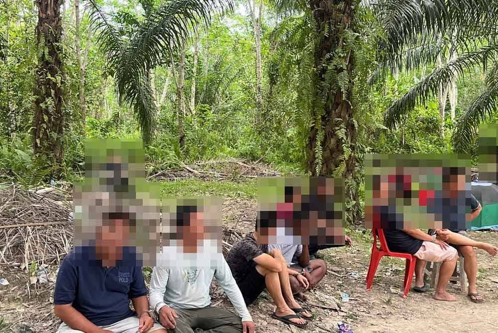 Seramai 12 lelaki termasuk penganjur ditahan selepas disyaki terlibat dalam aktiviti judi laga ayam di Kuala Kangsar pada Ahad. Foto ihsan pembaca