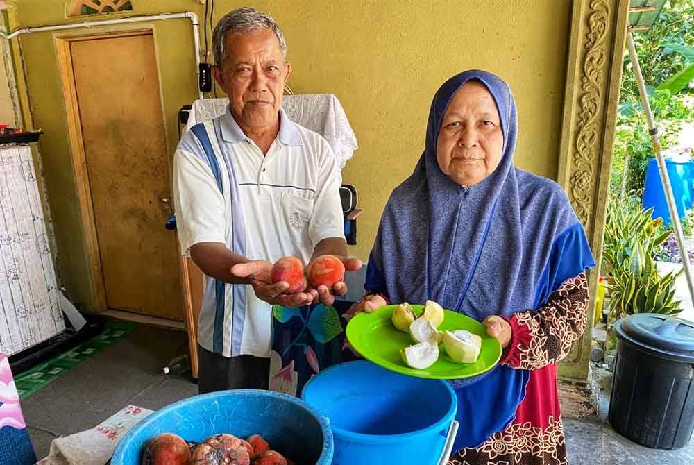 Ahmad bersama isterinya Che Su Awang Kecik,67 menunjukkan buah mentega yang terdapat di rumah mereka.