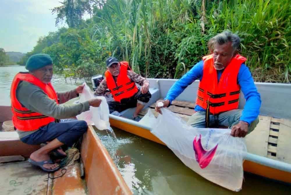Pelepasan benih udang galah serentak seluruh Negeri Sembilan. - Foto: Pejabat Perikanan Jelebu