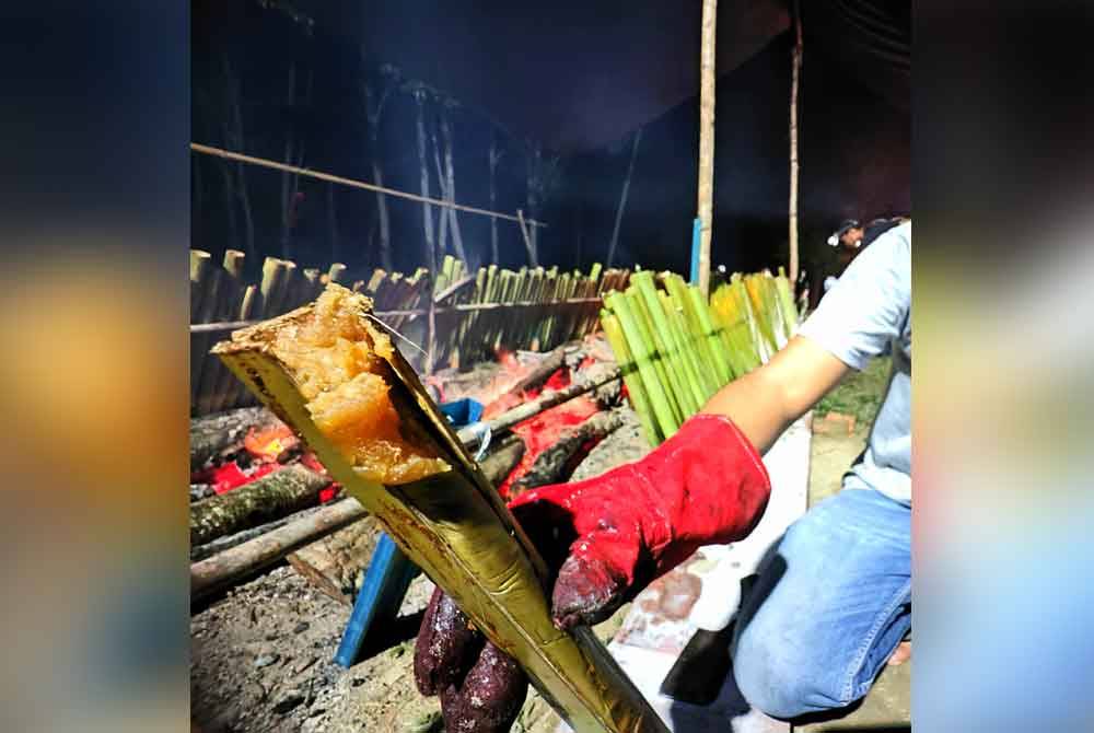 Lemang bulu yang siap dibakar.