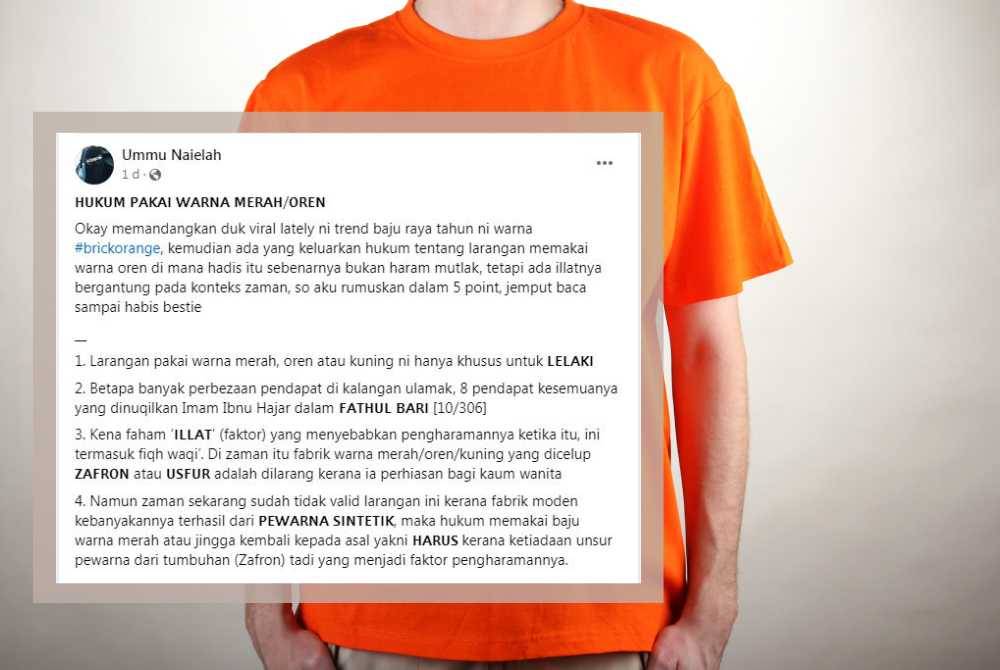 HANTARAN yang dikongsikan oleh Ummu Naielah di laman sosial Facebook miliknya baru-baru ini.