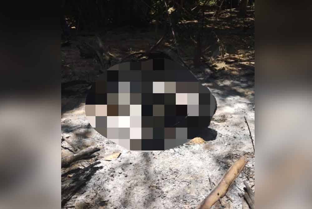 Mayat lelaki tanpa identiti ditemukan di kawasan kebun kelapa sawit di Bukit Karung, Semeling pada pagi Jumaat. Foto ihsan pembaca