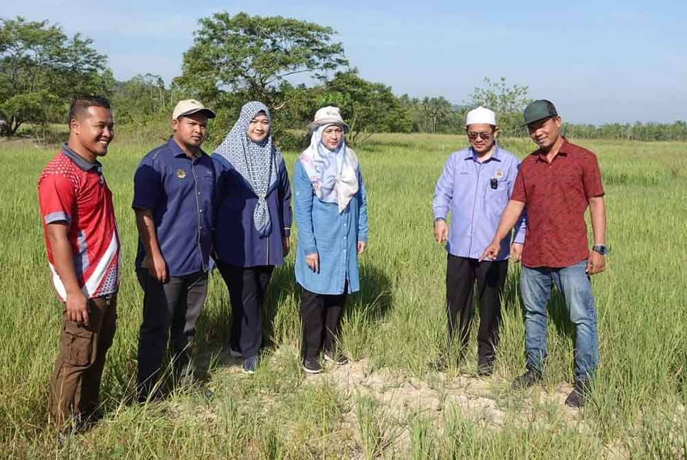 Tuan Mohd Saripudin (dua dari kanan) meninjau kawasan tanaman padi di Machang.