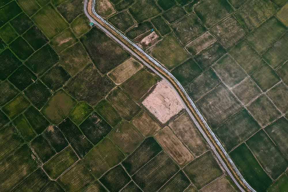 Keadaan sawah padi sekitar Ketereh kering susulan kekurangan bekalan air yang disalurkan ekoran musim kemarau yang melanda ketika ini.