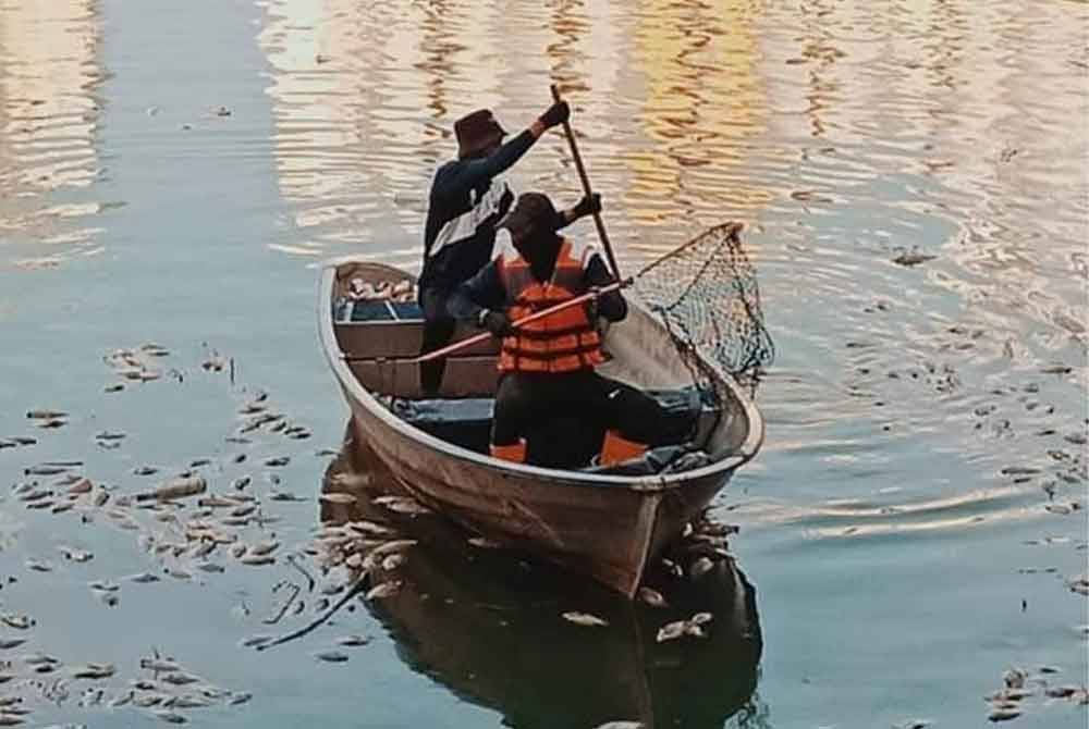 Kerja pembersihan dilakukan Kakitangan DBKL melakukan kerja-kerja pembersihan di Tasik Taman Danau Kota. Foto pembaca