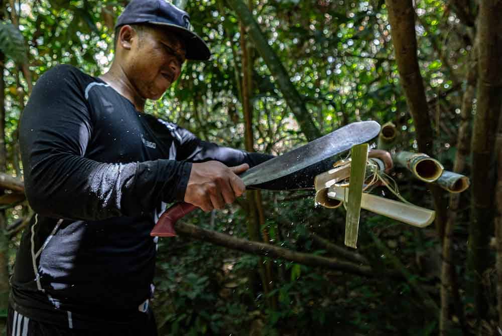 Arman merapikan buluh lemang yang sudah ditebang. Foto Bernama